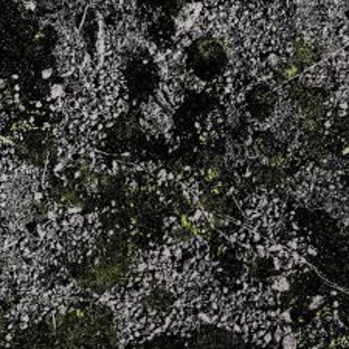 King Gizzard and the Lizard Wizard: Infest The Rats Nest (live At Red Rocks 2022)