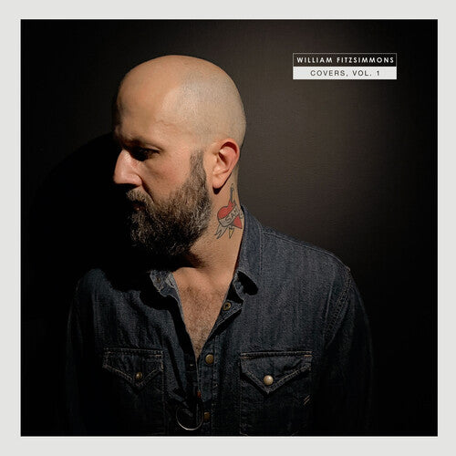 William Fitzsimmons: Covers, Vol. 1